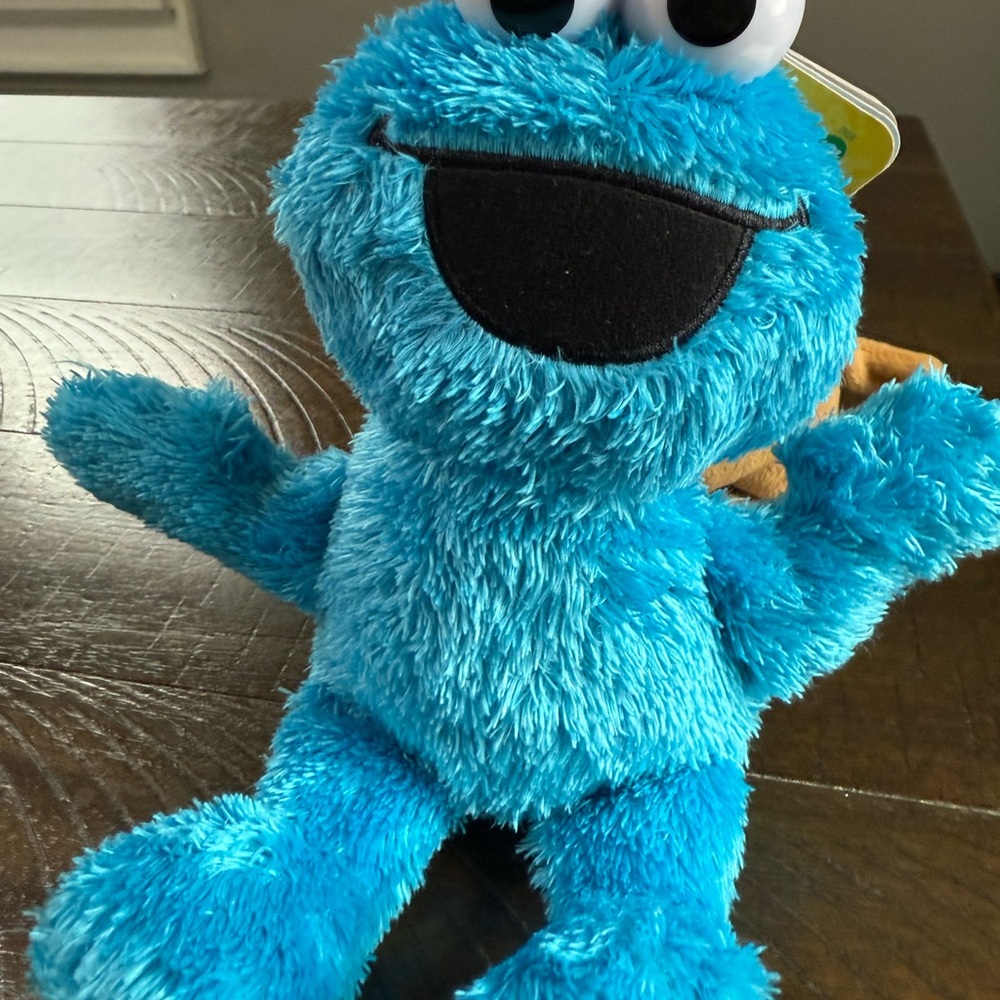 Sesame Street Blue Plush Character